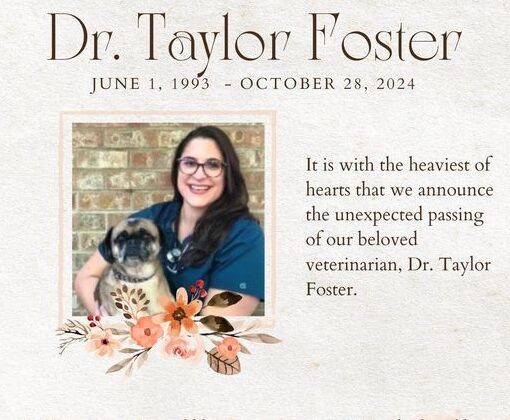 Taylor Foster Poulsbo WA Death, Obituary: Taylor Foster, Associate Veterinarian at Poulsbo Marina Veterinary Clinic Dies Suddenly